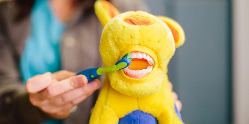 tooth brushing stuffed animals